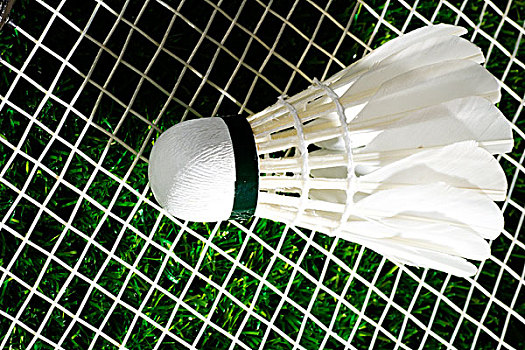 了新的高峰 了新的高峰