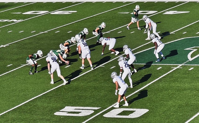 关注的问题 关注的问题